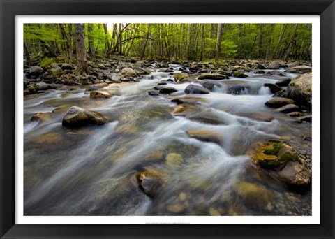 Framed Golden Flow Print