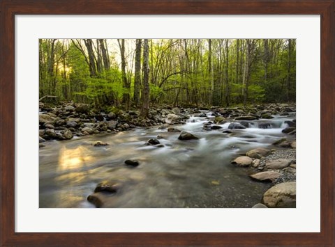 Framed Morning Sunshine I Print