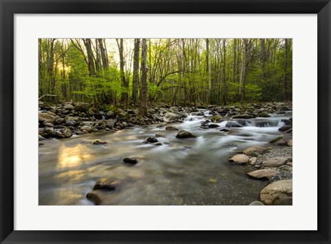 Framed Morning Sunshine I Print