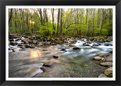 Framed Morning Sunshine II Print