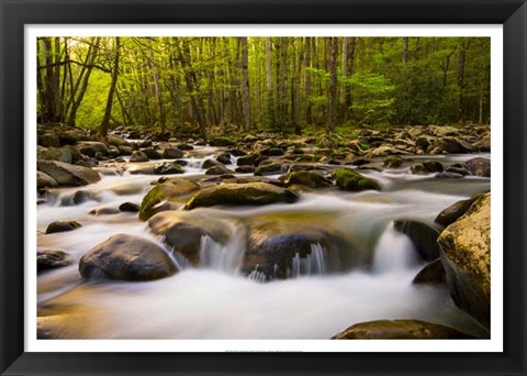 Framed Warm Morning Light Print