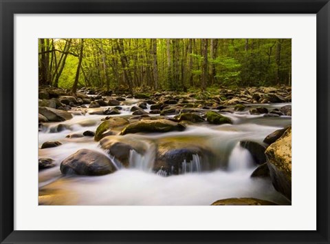 Framed Warm Morning Light Print