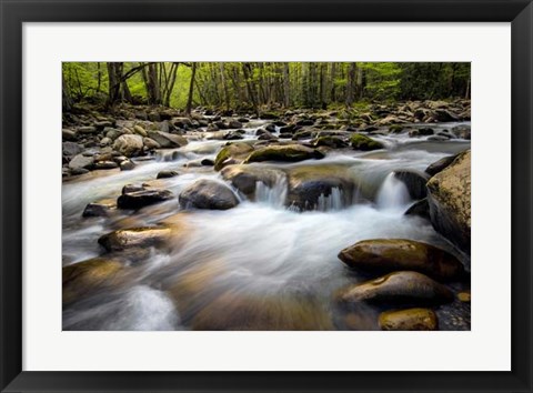 Framed Spring on Porters Creek Print