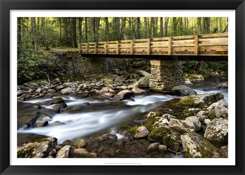 Framed Bridge and Cascade I Print