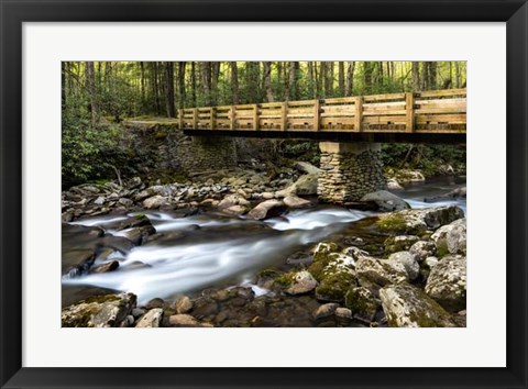 Framed Bridge and Cascade I Print