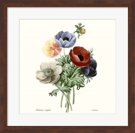 Framed Blushing Bouquet I Print