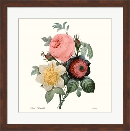 Framed Blushing Bouquet II Print