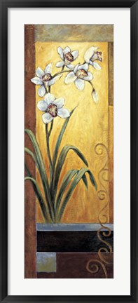 Framed Orchid Print