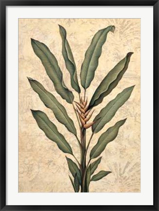 Framed Palms of the Tropics IV Print