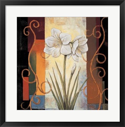 Framed Amaryllis Print