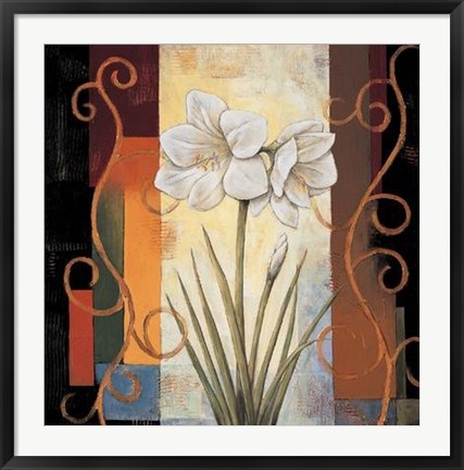 Framed Amaryllis Print