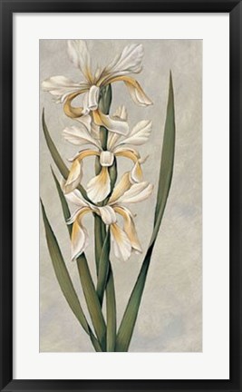 Framed Decorative Irises II Print