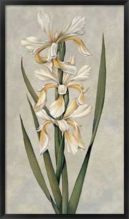 Framed Decorative Irises II Print