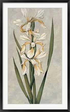 Framed Decorative Irises II Print