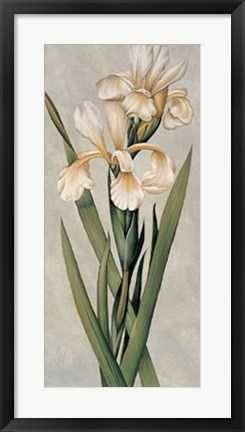 Framed Decorative Irises I Print