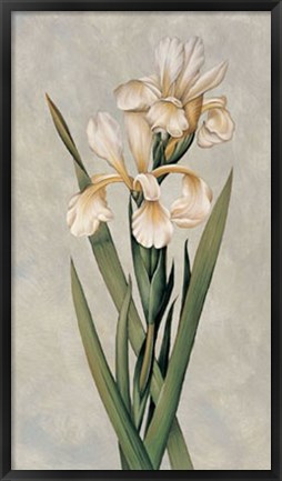 Framed Decorative Irises I Print