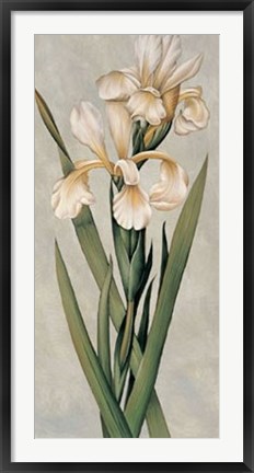 Framed Decorative Irises I Print