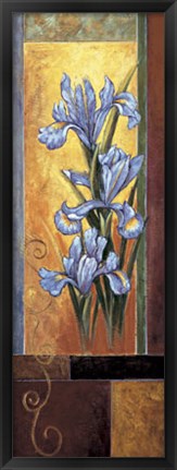 Framed Iris Print