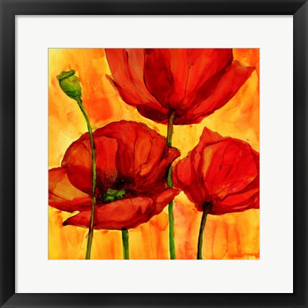 Framed Coquelicots III Print