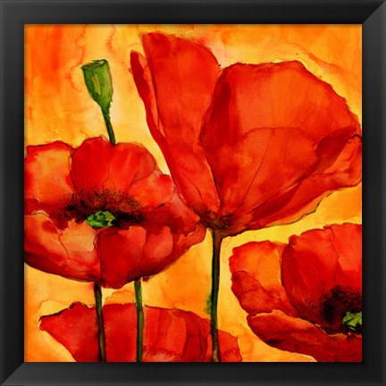 Framed Coquelicots I Print