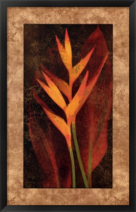 Framed Heliconia Print