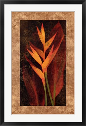 Framed Heliconia Print