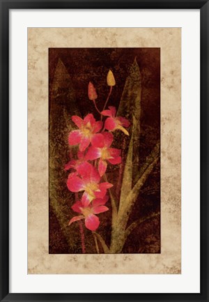 Framed Orchid Print