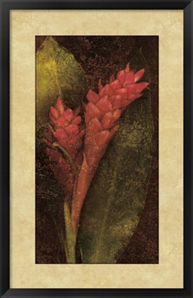 Framed Ginger Print