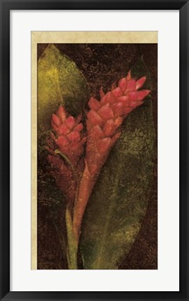 Framed Ginger Print