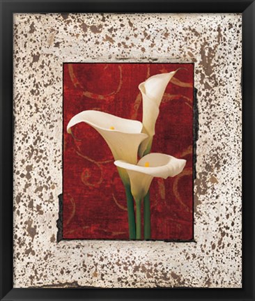 Framed Calla Lilies Print