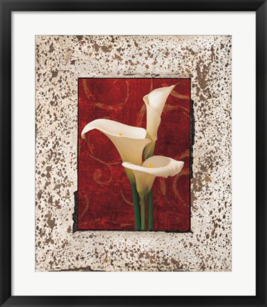 Framed Calla Lilies Print