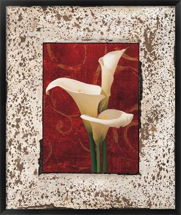 Framed Calla Lilies Print