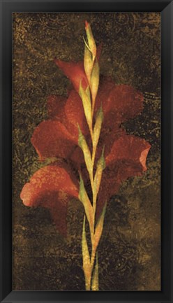 Framed Gladiola Print