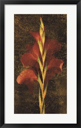 Framed Gladiola Print