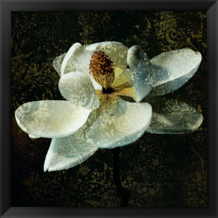 Framed Magnolia II Print