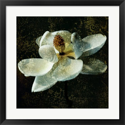 Framed Magnolia II Print