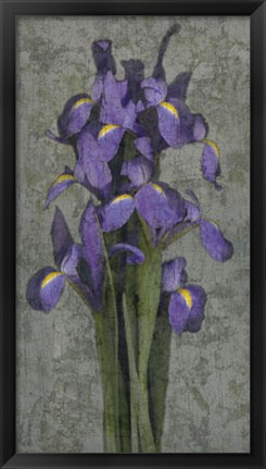 Framed Purple Iris Print