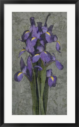 Framed Purple Iris Print