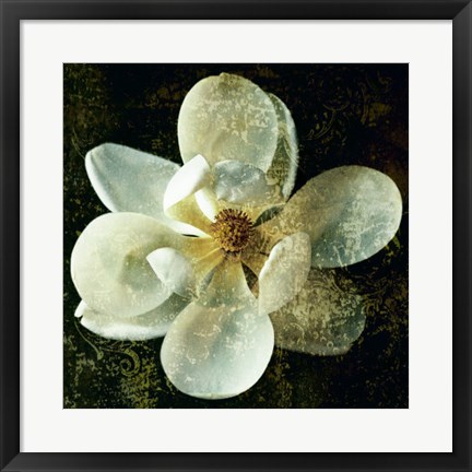 Framed Magnolia I Print