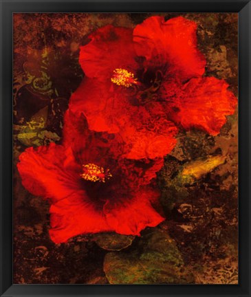 Framed Hibiscus II Print