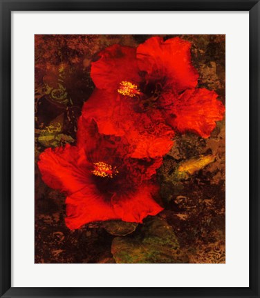 Framed Hibiscus II Print