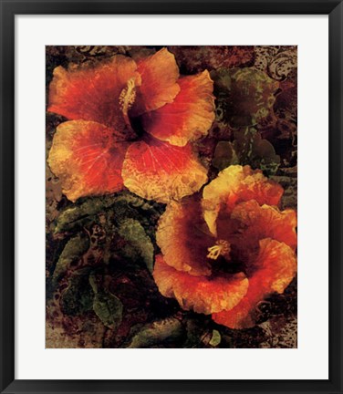 Framed Hibiscus I Print