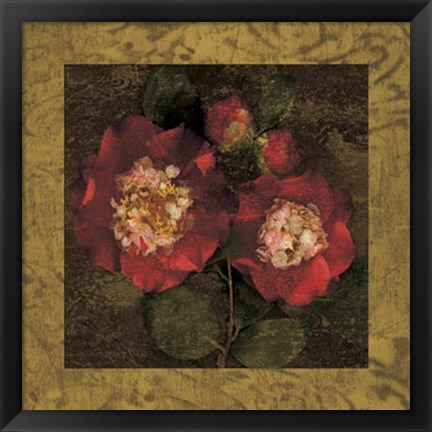 Framed Red Camellias II Print