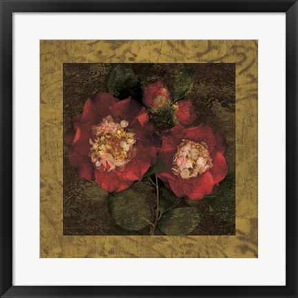 Framed Red Camellias II Print