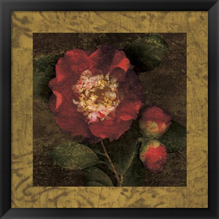 Framed Red Camellias I Print