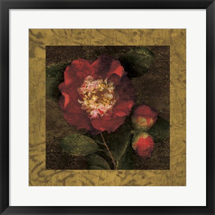 Framed Red Camellias I Print