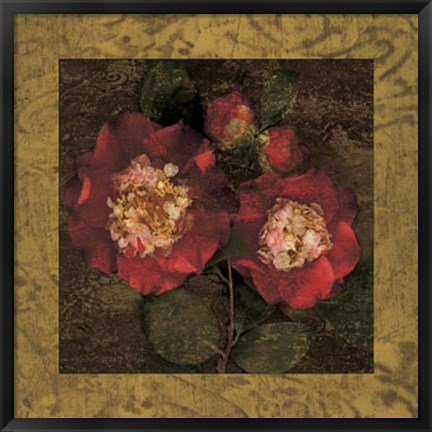 Framed Red Camellias II Print