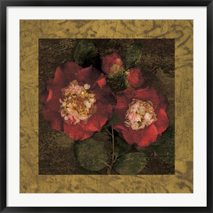 Framed Red Camellias II Print