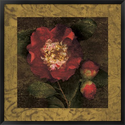 Framed Red Camellias I Print