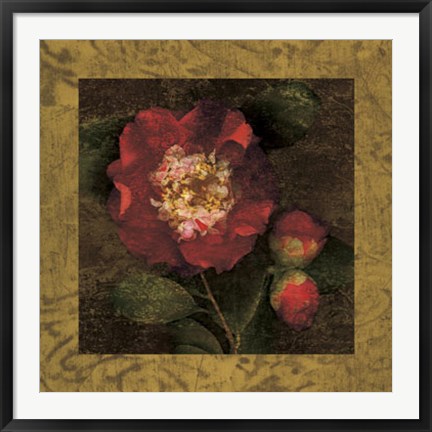 Framed Red Camellias I Print